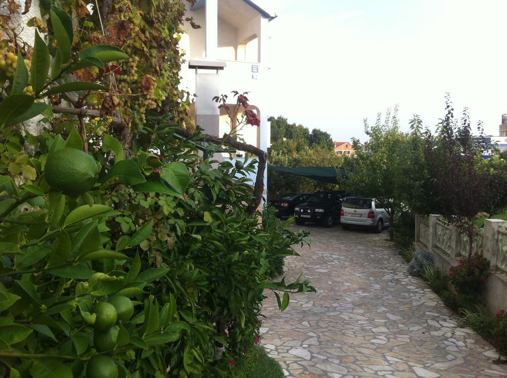 Guest House Ana Zadar Exterior foto